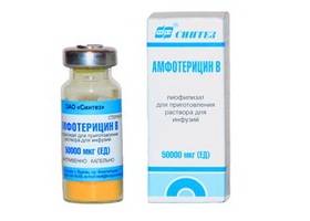 Амфотерицин в для инфузий 50000мкг фл.